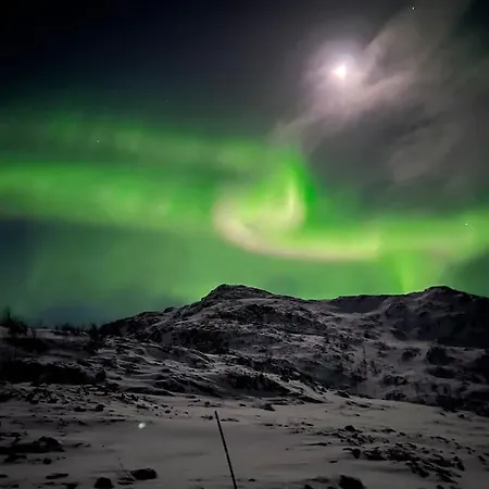 I Neverfjord. * Kvalsund
