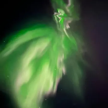 I Neverfjord. Kvalsund